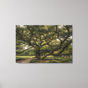 Árbol de la Vida del Sur   Arte de Roble Vivo   Es