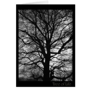 Árbol de la vida - no sólo para los abraza de árbo