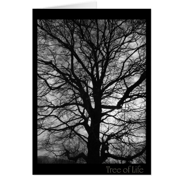 Árbol de la vida - no sólo para los abraza de árbo (Frente)