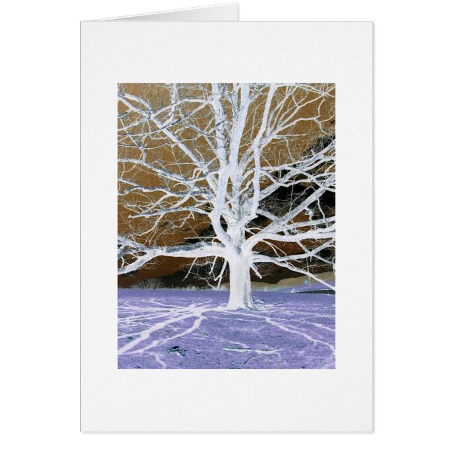 Árbol de Lisa con borde blanco (Frente)