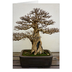 Árbol de los bonsais de la granada