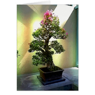 Árbol de los bonsais del Bougainvillea