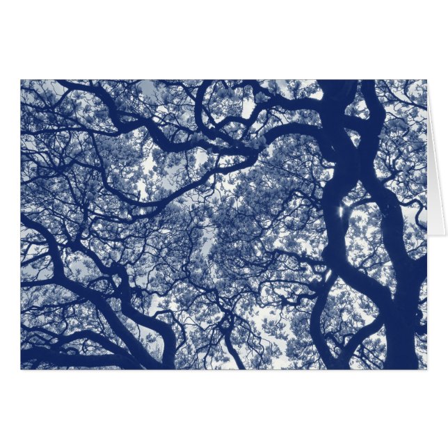 Árbol de magnolia - Efecto cianotipio (Anverso (Horizontal))