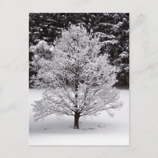 Árbol de navidad