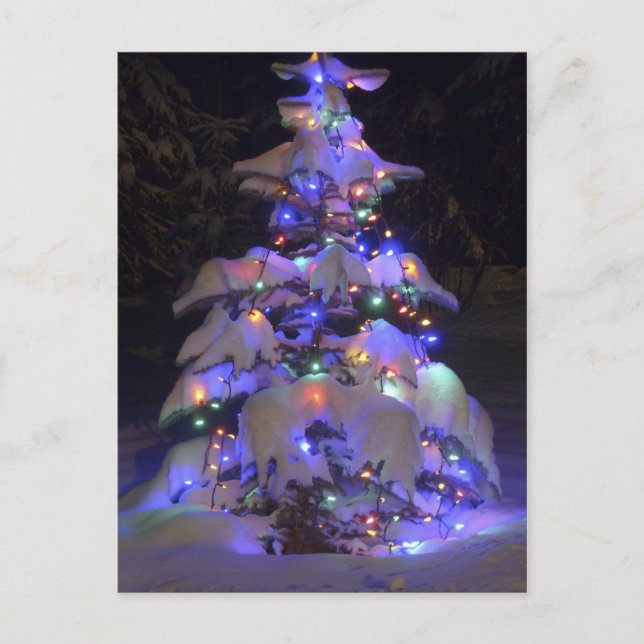 Árbol de Navidad Brillante De Nieve Cubierta De Li (Anverso)
