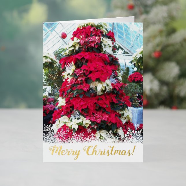 Árbol de Navidad de la Poinsettia festiva (Vacaciones in situ)