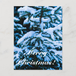 Árbol de Navidad de Nieve en Invierno