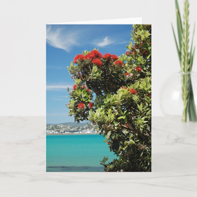 Árbol de Navidad de Nueva Zelanda, el Pohutukawa (Anverso)