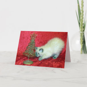 Árbol de Navidad de Savannah ( Gato / Gatito )