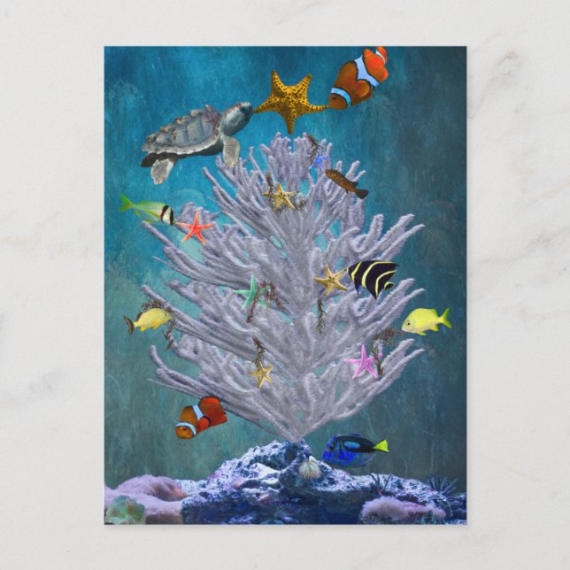 Árbol de navidad del mar (Anverso)