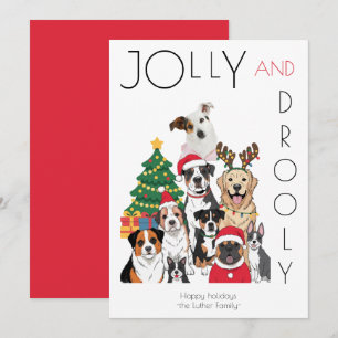 Árbol de Navidad divertido para mascotas