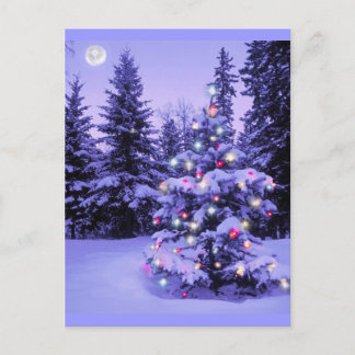 Árbol de Navidad en el bosque