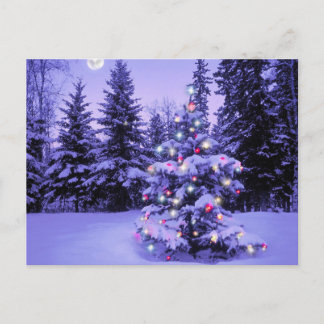Árbol de Navidad en el bosque