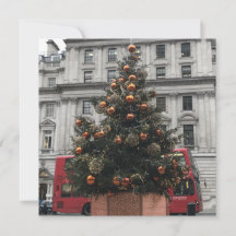 Árbol de Navidad en St. James Square, Londres Rein