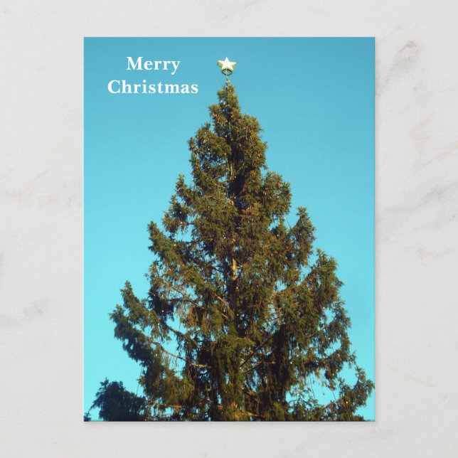 Árbol de Navidad en Trafalgar Square Holiday Post (Anverso)
