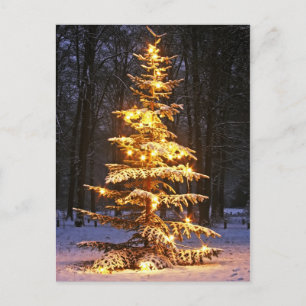 Árbol de navidad nevoso iluminado en las maderas
