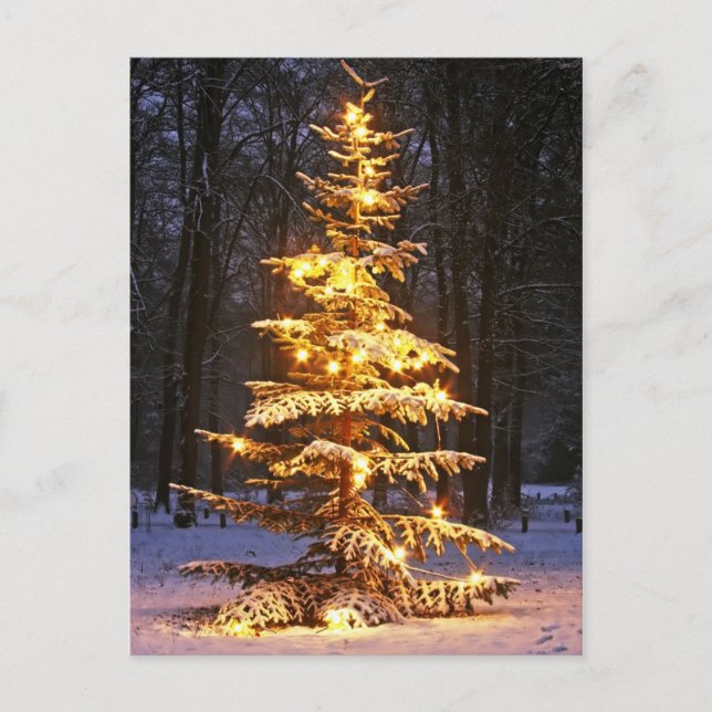 Árbol de navidad nevoso iluminado en las maderas (Anverso)