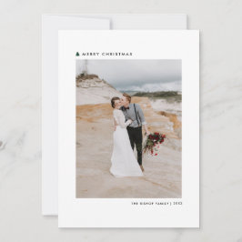 Árbol de Navidad Verde Fotos navideñas modernas