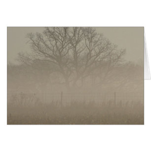 Árbol de niebla