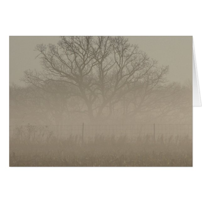 Árbol de niebla (Anverso (Horizontal))