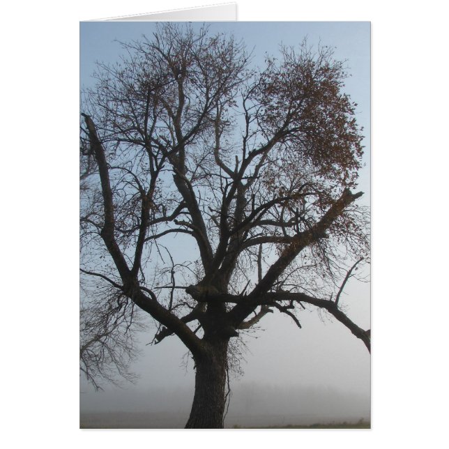Árbol de niebla en Iowa (Frente)