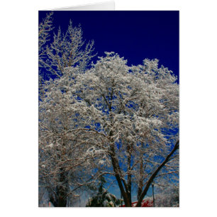 árbol de nieve de crema