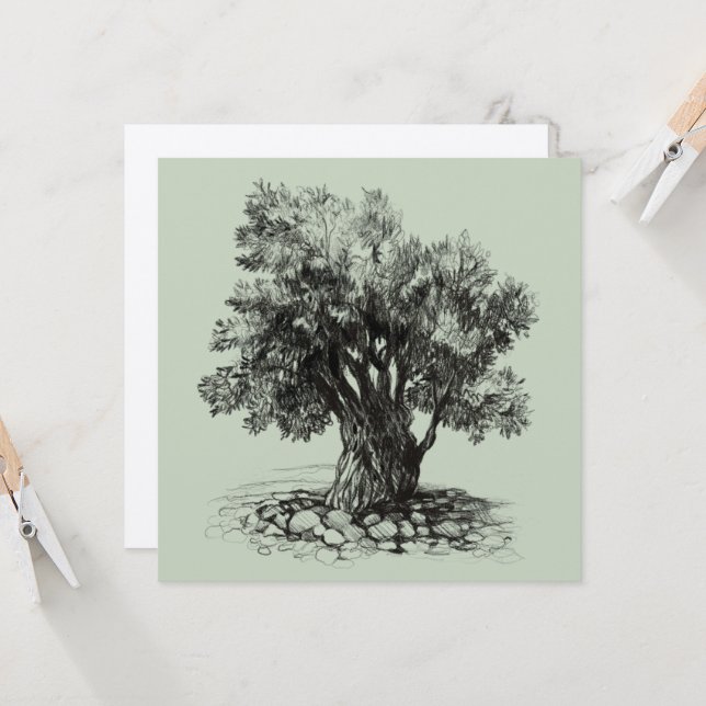 Árbol de oliva (Anverso/Reverso In Situ)