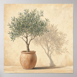 Árbol de olivo botánico en maceta caliente Arte cu