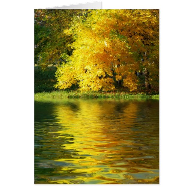 Árbol de otoño en el bosque con reflexión (Frente)