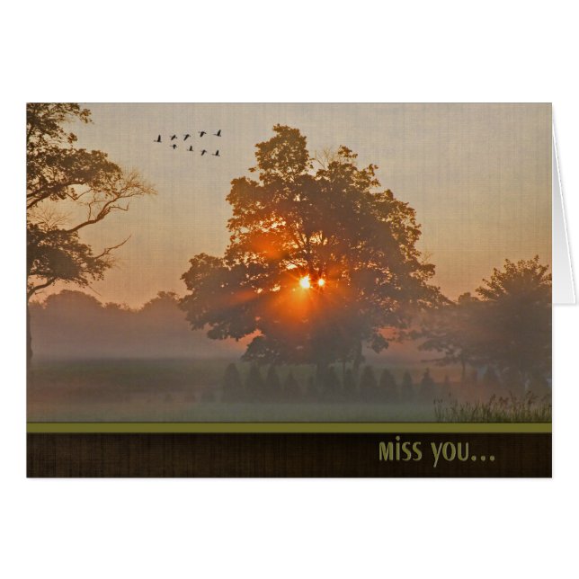 Árbol De Otoño En La Luz Del Sol Misteriosa (Anverso (Horizontal))