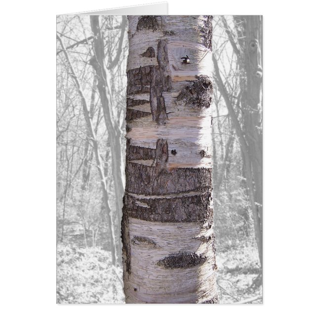 Árbol de pájaros (Frente)