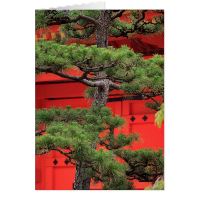 Árbol de pájaros bonsai (Frente)