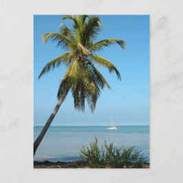 Árbol de palma - postal