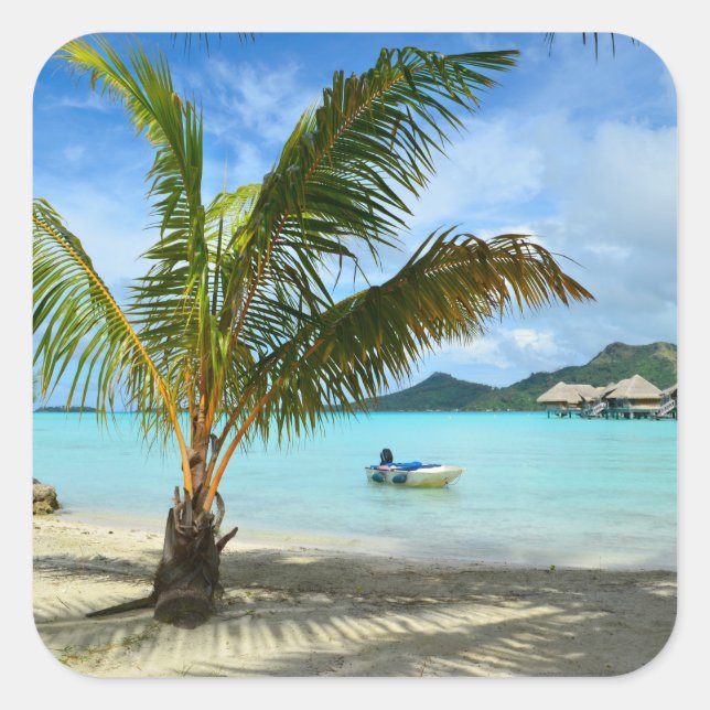 Árbol de palmeras y pegatina del complejo acuático (Anverso)