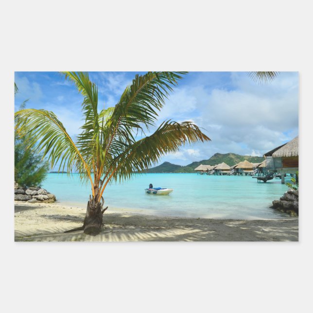 Árbol de palmeras y pegatina rectangular de comple (Anverso)