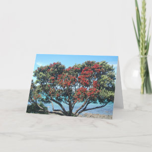 Árbol de Pohutukawa en la playa (árbol de navidad