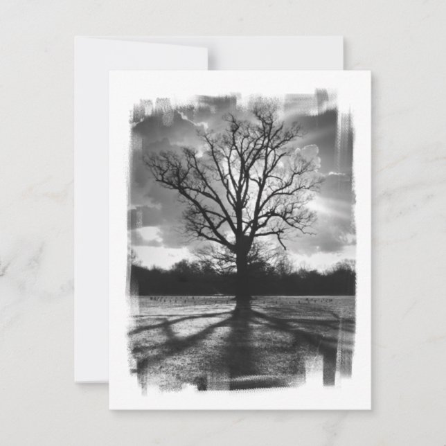 Árbol de ramas estériles (Anverso)