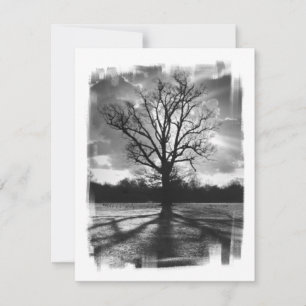 Árbol de ramas estériles