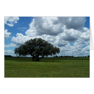 Árbol de roble y nubes