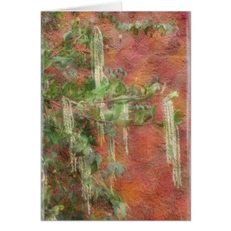 Árbol de seda de la borla - tarjeta