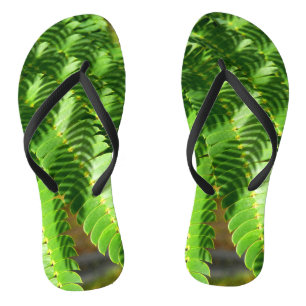 Árbol de seda persa deja sandalias