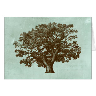 Árbol de Spa IV