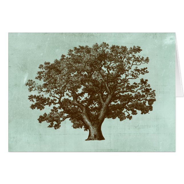 Árbol de Spa IV (Anverso (Horizontal))