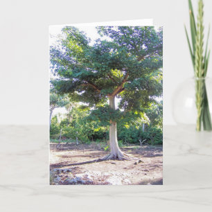 Árbol de tarjetas de felicitación de sabiduría