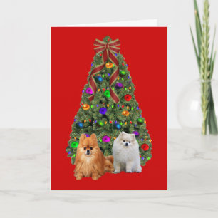 Árbol de tarjetas de Navidades de Pomerania