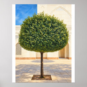 Árbol de Topiaria Redondeado Arte de Pared de Pati