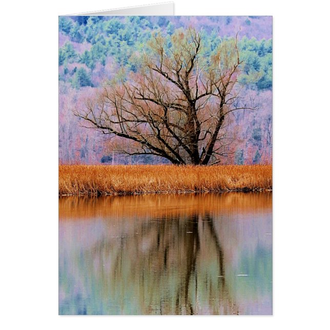 Árbol de transición (Frente)