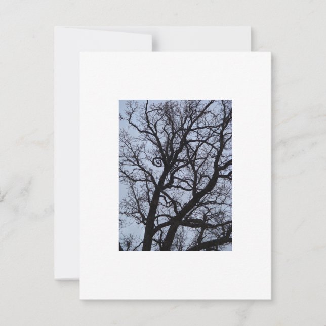 Árbol de vampiros (Anverso)