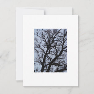 Árbol de vampiros