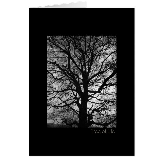 Árbol de vida (Frente)